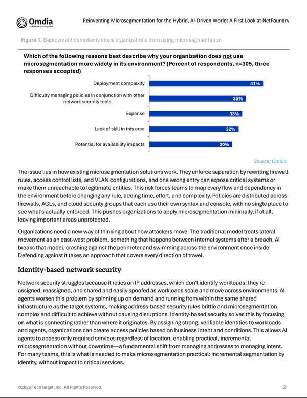 First page of the Omdia Technical First Look on NetFoundry microsegmentation